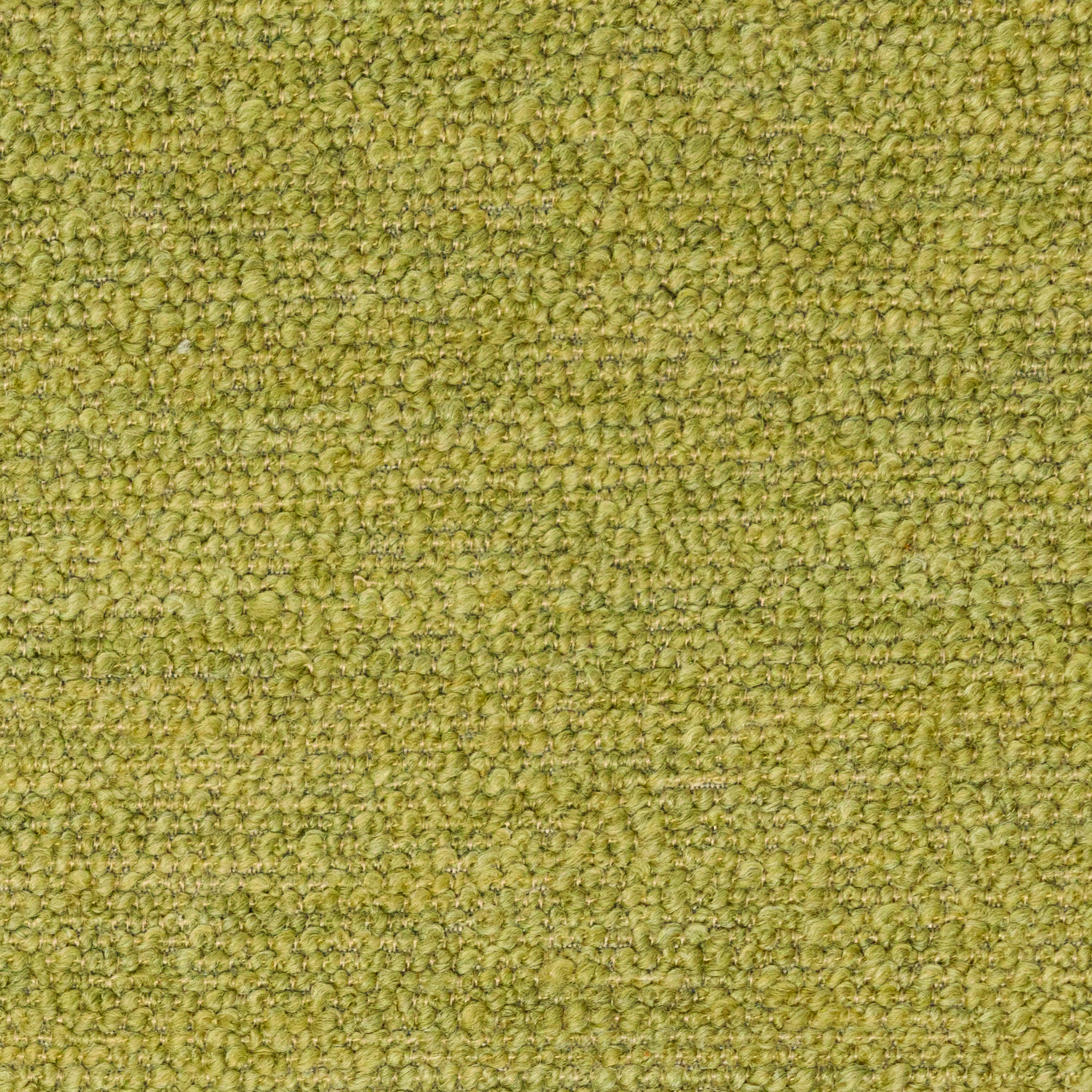 Gris cendré TEGR