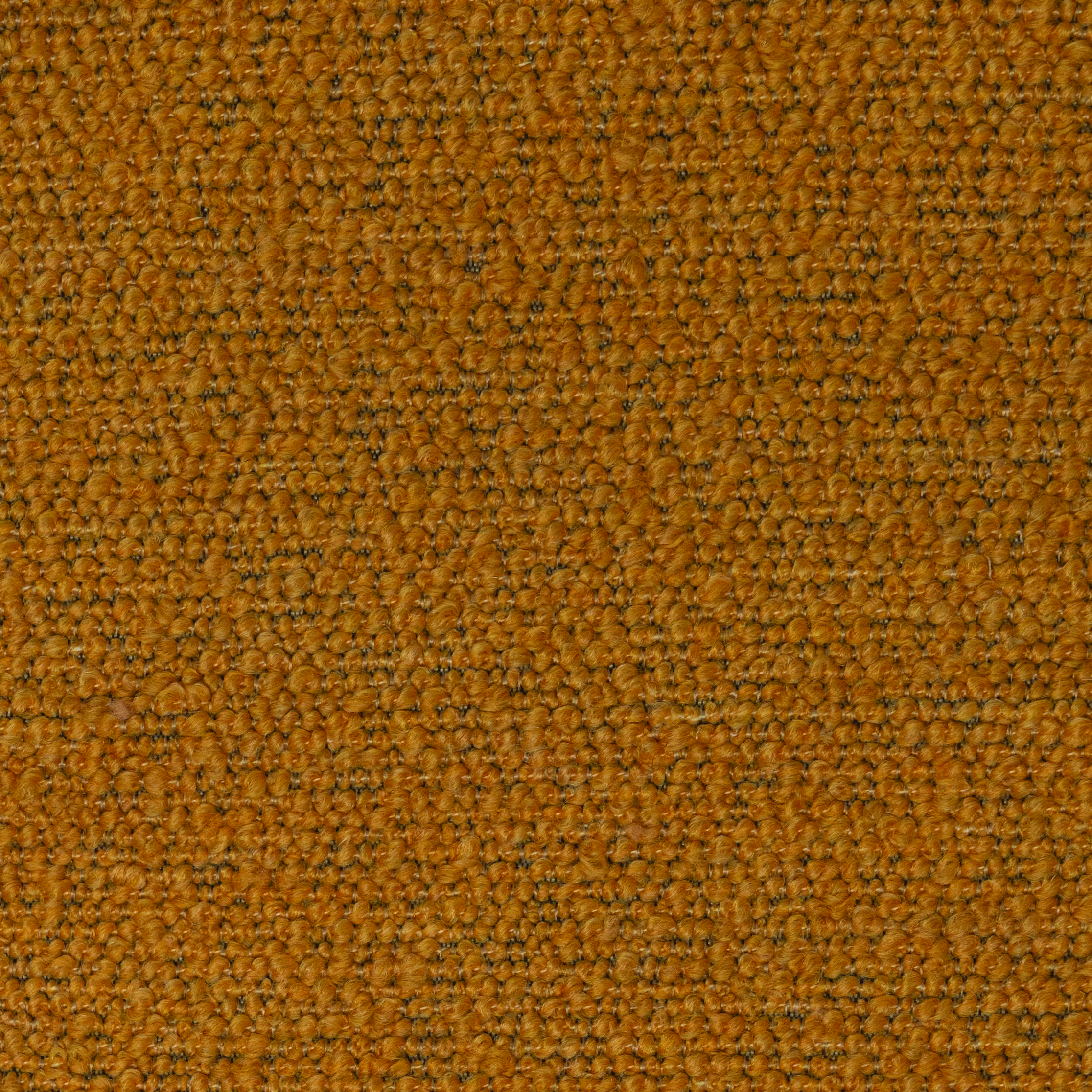 Taupe TETR