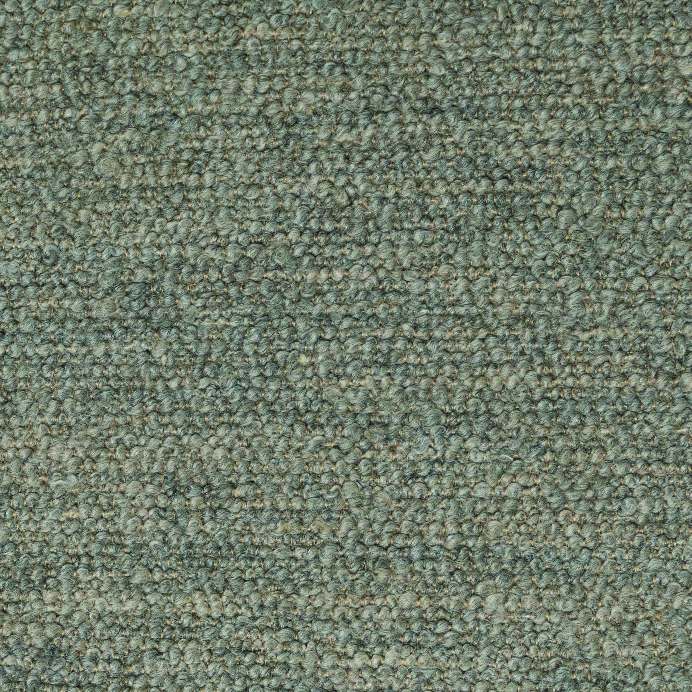 Taupe TETR